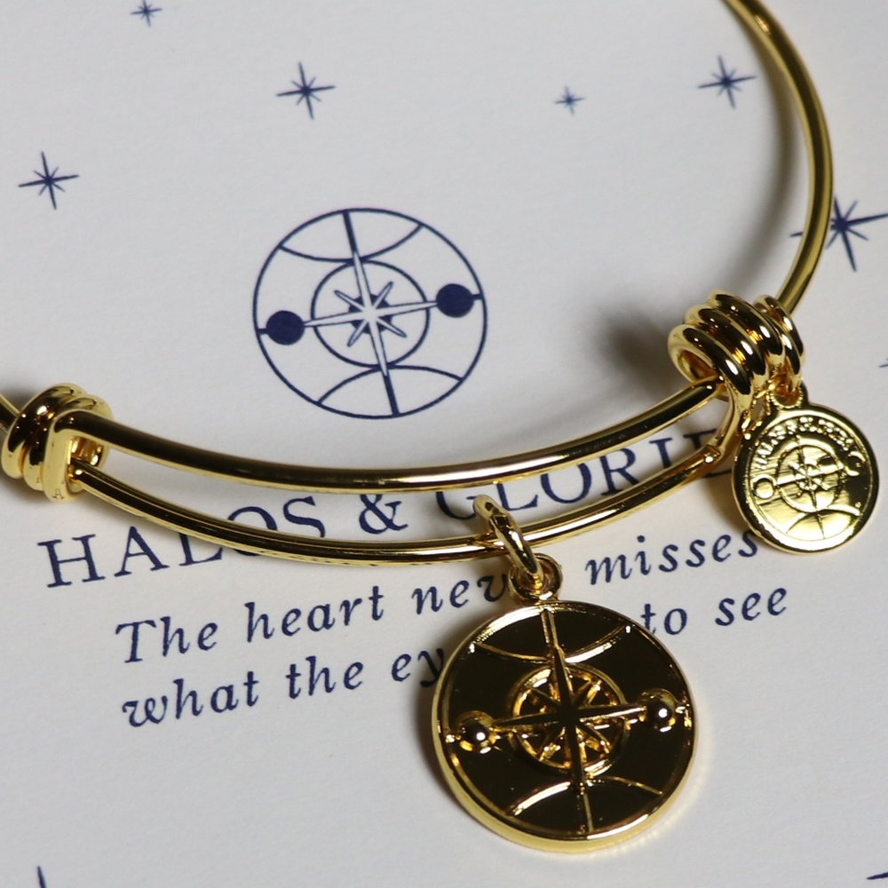 HALOS & GLORIES Compass LOGO - Picture 5 of 6